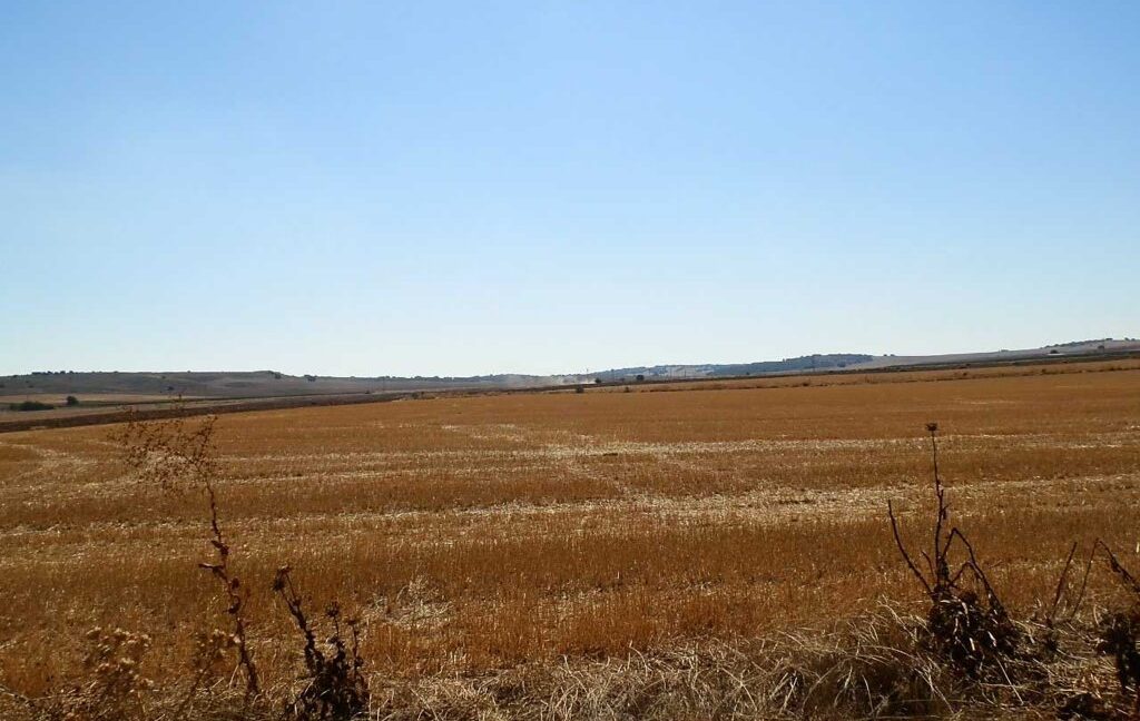 686_fincas-en-venta-19