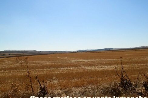 686_fincas-en-venta-19