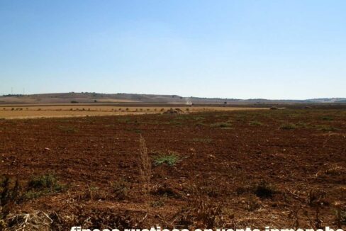 686_fincas-en-venta-23