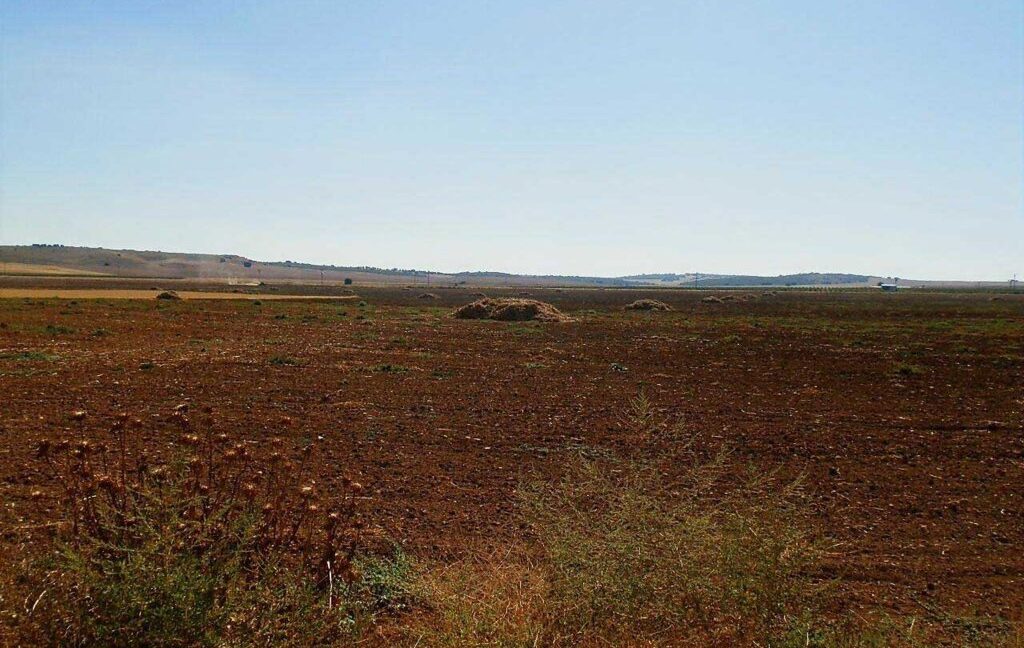 686_fincas-en-venta-24