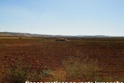 686_fincas-en-venta-24