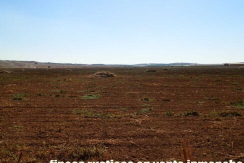 686_fincas-en-venta-28