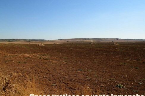 686_fincas-en-venta-29