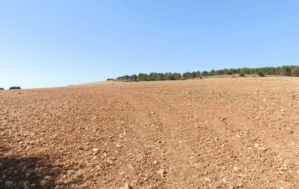 686_fincas-en-venta-31