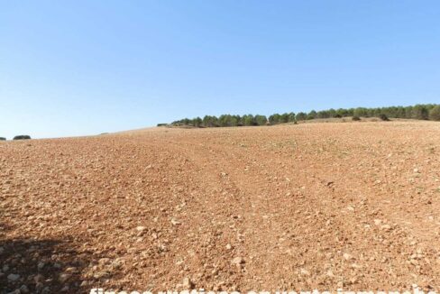 686_fincas-en-venta-31
