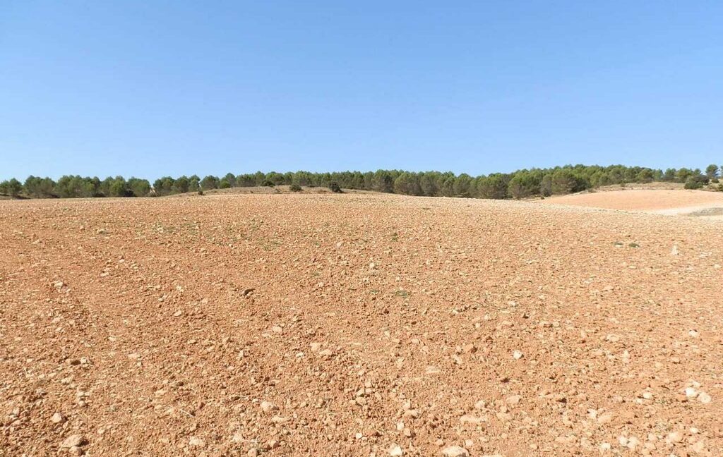 686_fincas-en-venta-32