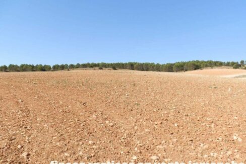686_fincas-en-venta-32