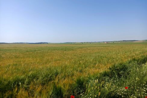 686_fincas-en-venta-36