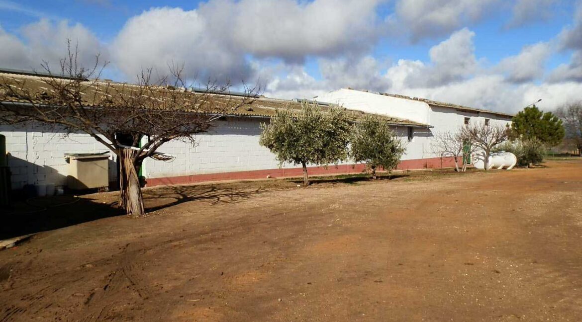 687_fincas-en-venta-089