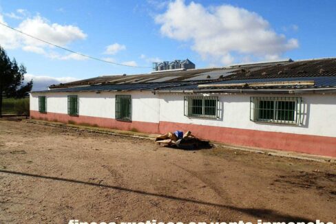 687_fincas-en-venta-090