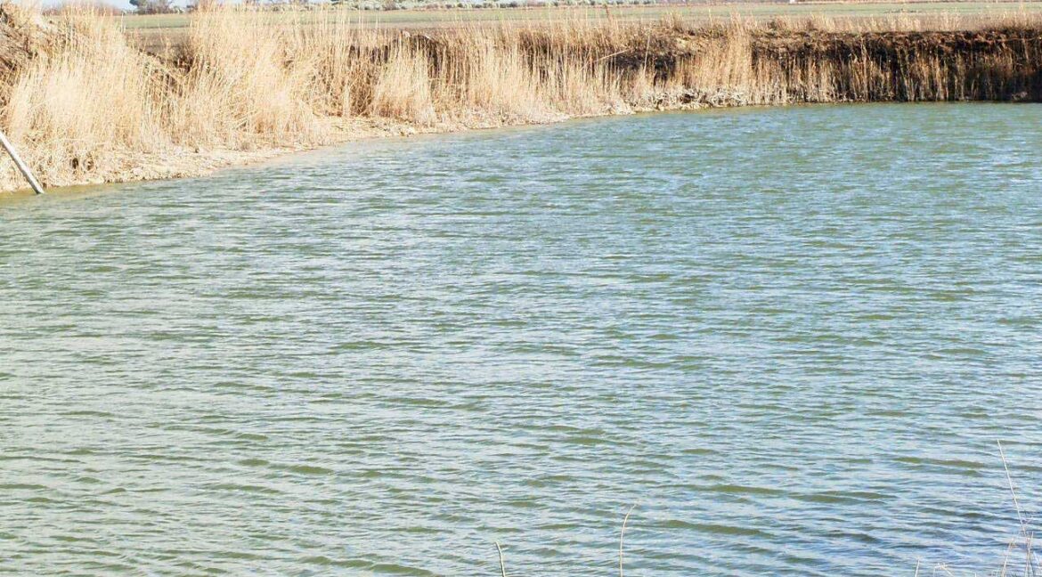 687_fincas-en-venta-102