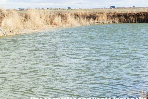 687_fincas-en-venta-102