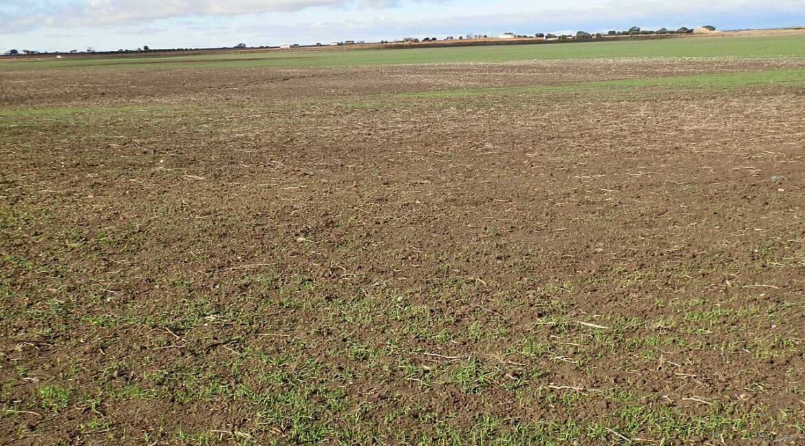 687_fincas-en-venta-104