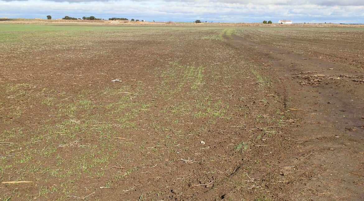 687_fincas-en-venta-105