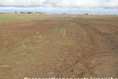 687_fincas-en-venta-105