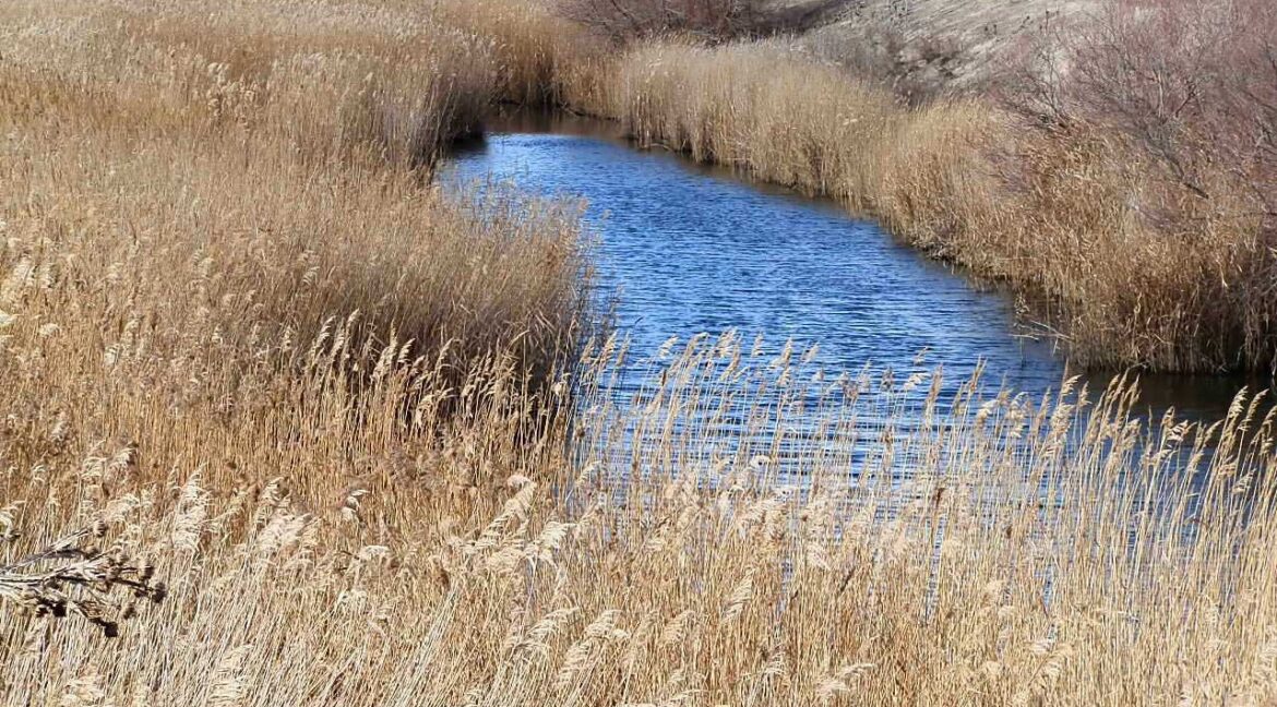 687_fincas-en-venta-106