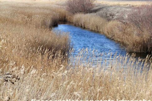 687_fincas-en-venta-106