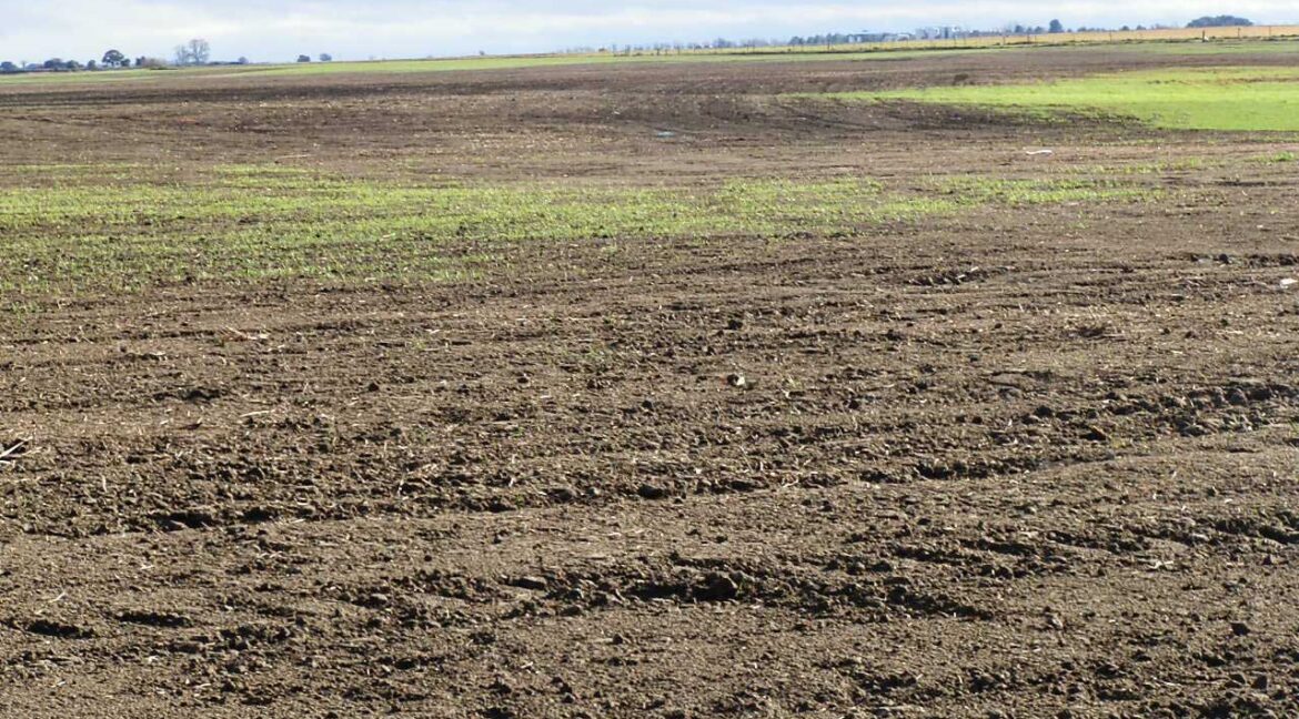 687_fincas-en-venta-110