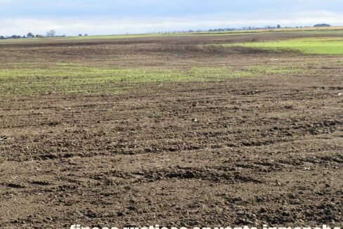 687_fincas-en-venta-110