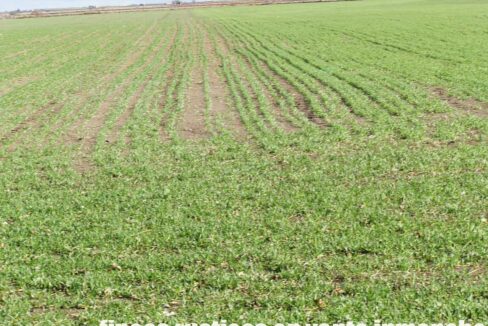 687_fincas-en-venta-112