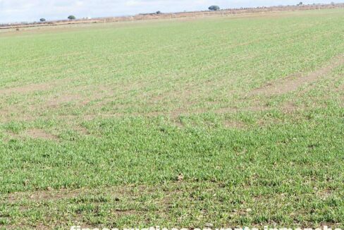 687_fincas-en-venta-113