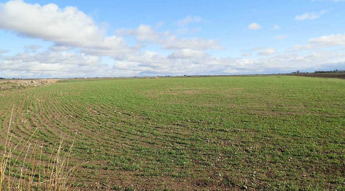 687_fincas-en-venta-114