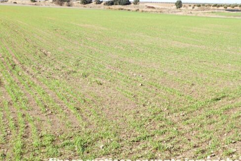 687_fincas-en-venta-115