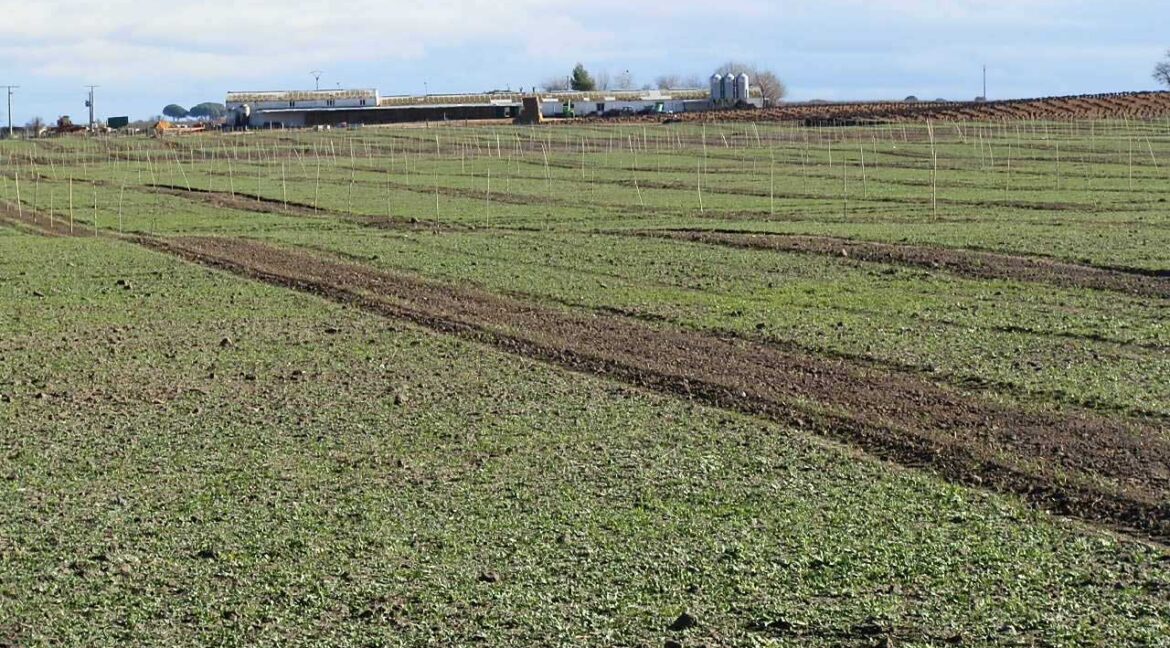 687_fincas-en-venta-116