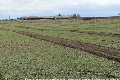 687_fincas-en-venta-116