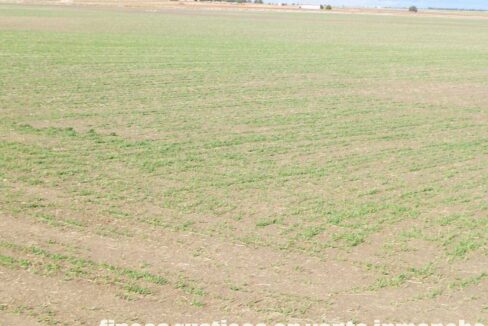 687_fincas-en-venta-124