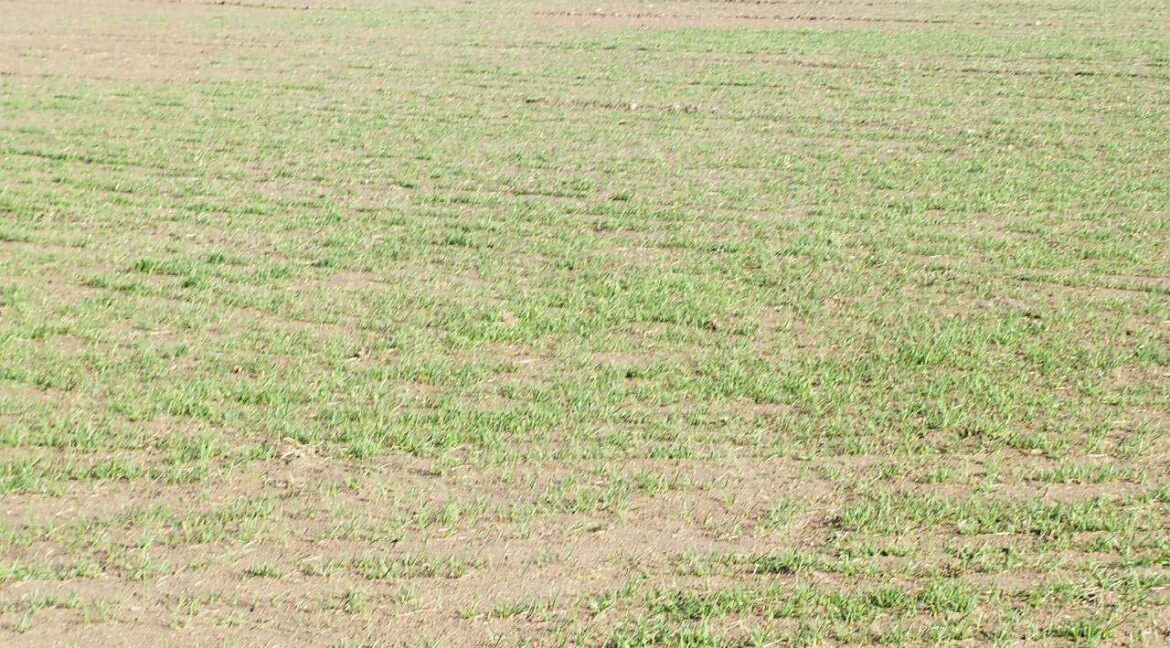 687_fincas-en-venta-125