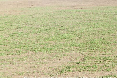 687_fincas-en-venta-125