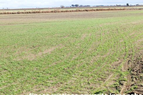 687_fincas-en-venta-126