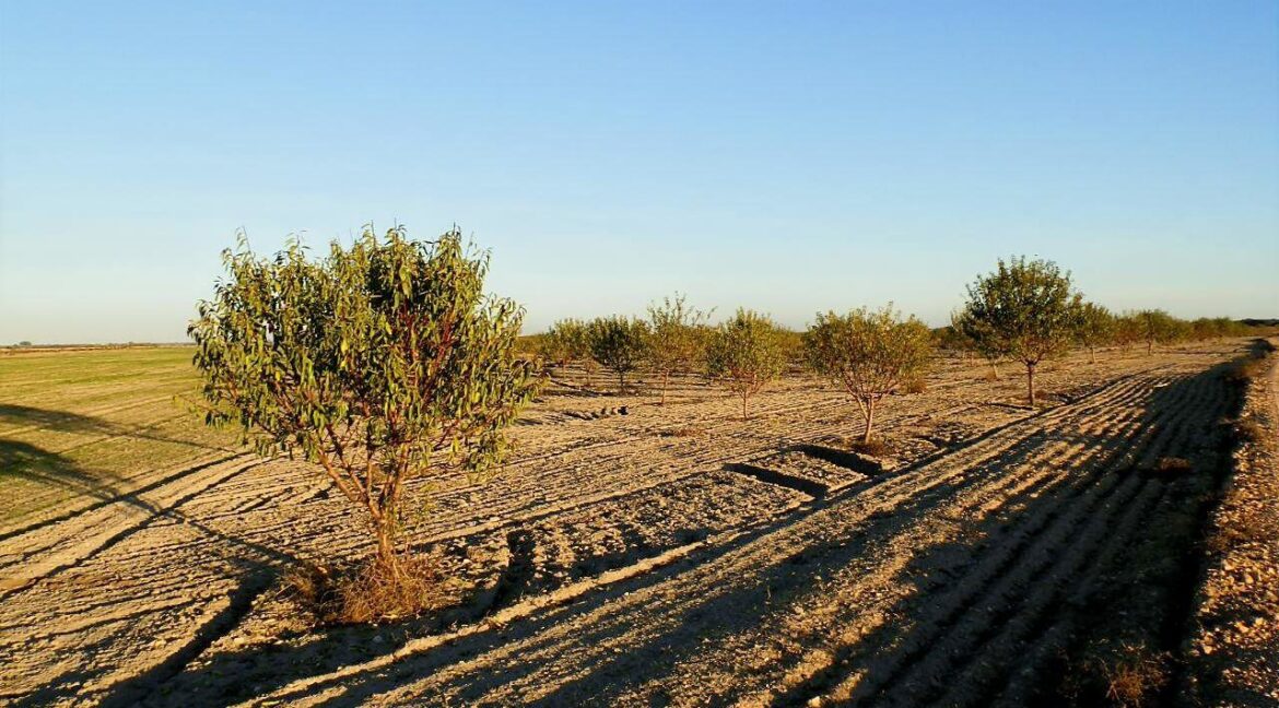 687_fincas-en-venta-127