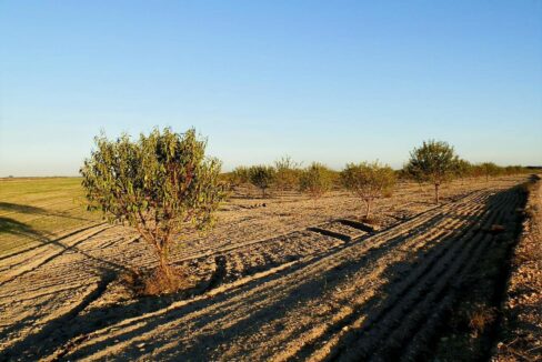 687_fincas-en-venta-127