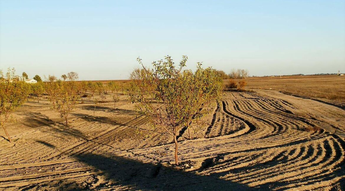 687_fincas-en-venta-128