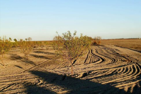 687_fincas-en-venta-128