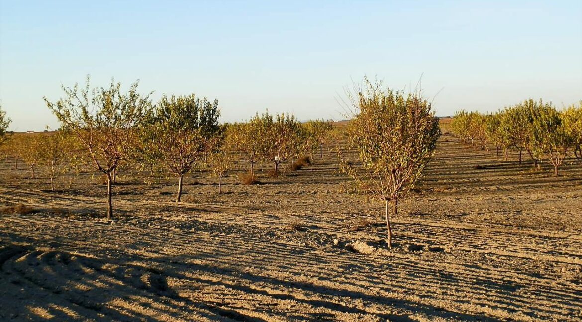 687_fincas-en-venta-129