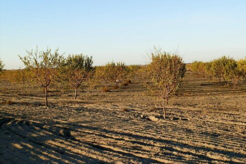 687_fincas-en-venta-129