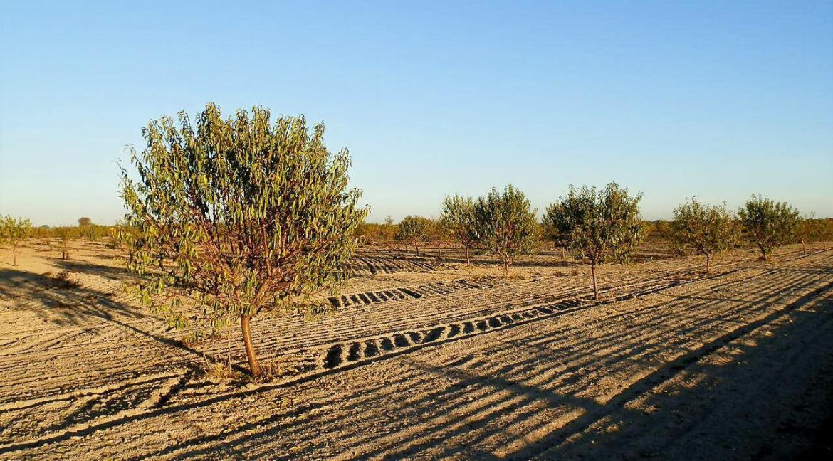 687_fincas-en-venta-131