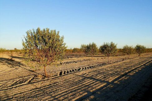 687_fincas-en-venta-131