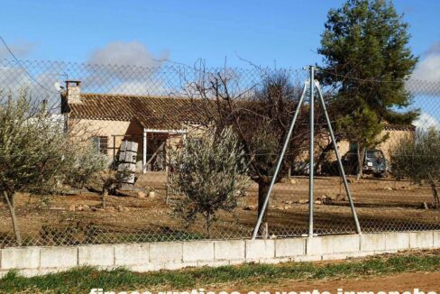 687_fincas-en-venta-79