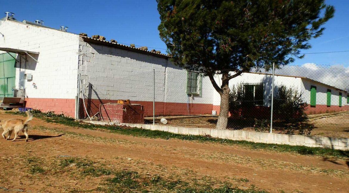 687_fincas-en-venta-80