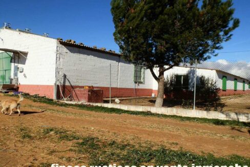 687_fincas-en-venta-80