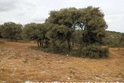 688_fincas-en-venta-03