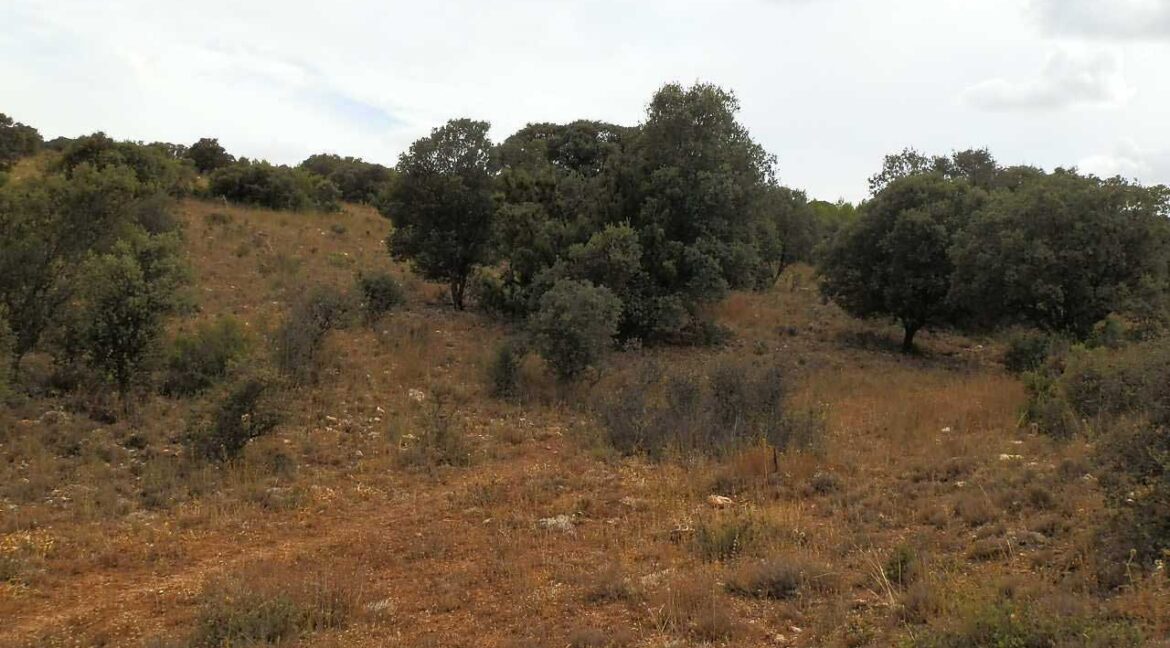 688_fincas-en-venta-04