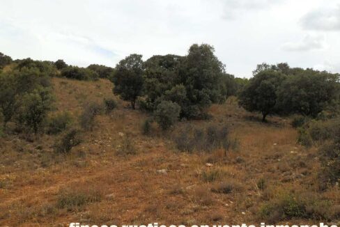 688_fincas-en-venta-04