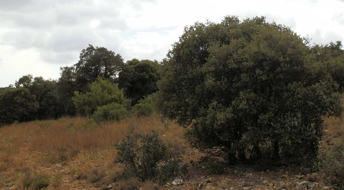 688_fincas-en-venta-05