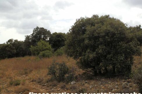 688_fincas-en-venta-05