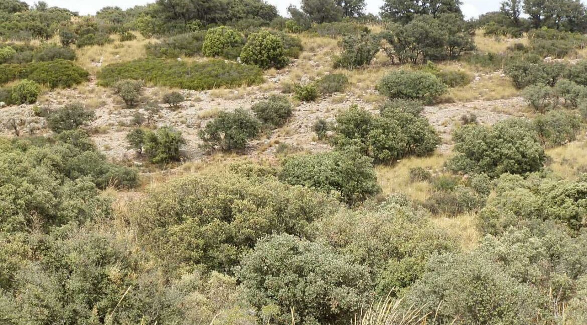 688_fincas-en-venta-06